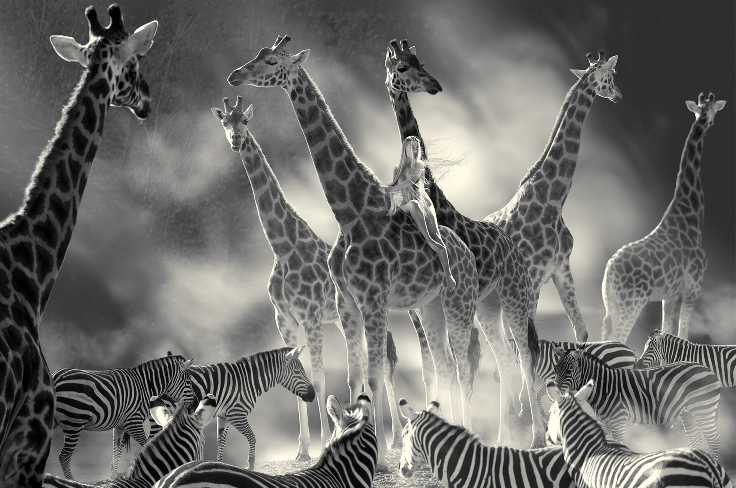 Screenshot 2021-01-14 at 18.30.07.png